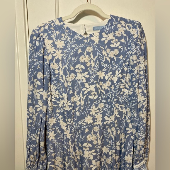 Antonio Melani Blue Floral Dress - Picture 3 of 6